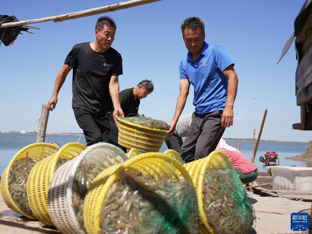 平博pinnacle官网